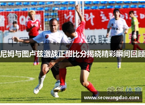 尼姆与图卢兹激战正酣比分揭晓精彩瞬间回顾