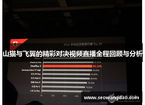 山猫与飞翼的精彩对决视频直播全程回顾与分析