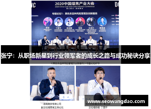 张宁：从职场新星到行业领军者的成长之路与成功秘诀分享