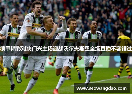 德甲精彩对决门兴主场迎战沃尔夫斯堡全场直播不容错过