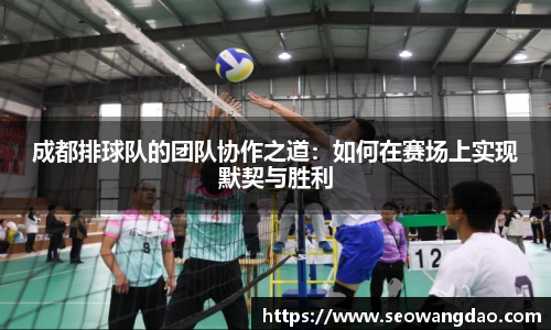 成都排球队的团队协作之道：如何在赛场上实现默契与胜利